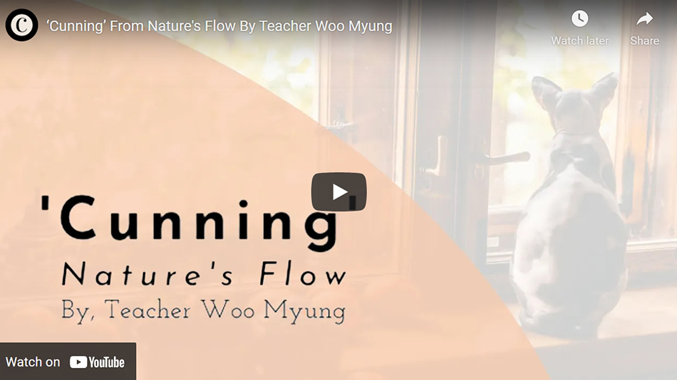 ‘Cunning’ From Nature’s Flow By Teacher Woo Myung